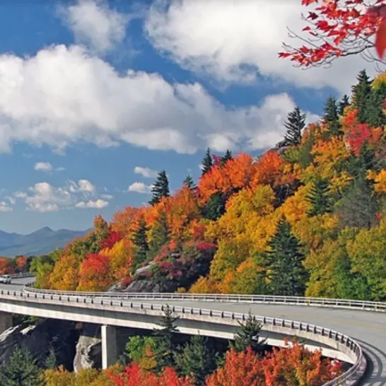 fall leaves on the Blue Ridge Parkway in North Carolina